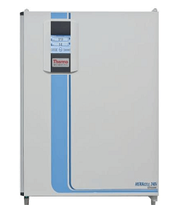 Thermo FisherHERAcell 240i CO2培养箱